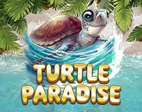 Turtle Paradise